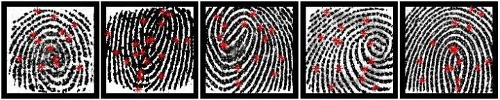 Fingerprint Hack