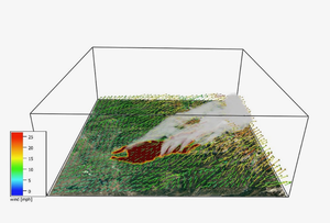 Fire Weather Model