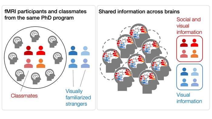 fMRI participants and classmates from same PhD program and shared information across brains