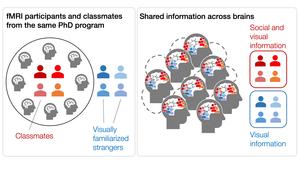 fMRI participants and classmates from same PhD program and shared information across brains