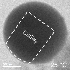 Gallium-copper alloy precipitating and growing in a sea of liquid gallium