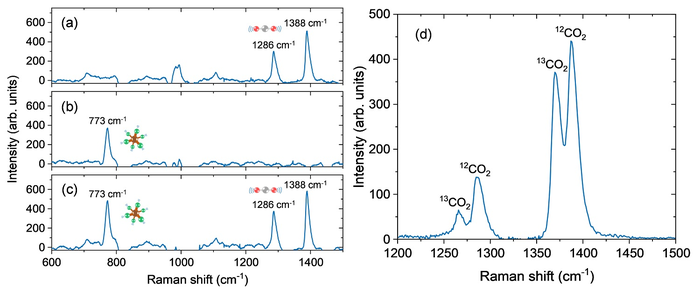 Fig. 2 The Raman spectra measured in the mixture of standard air