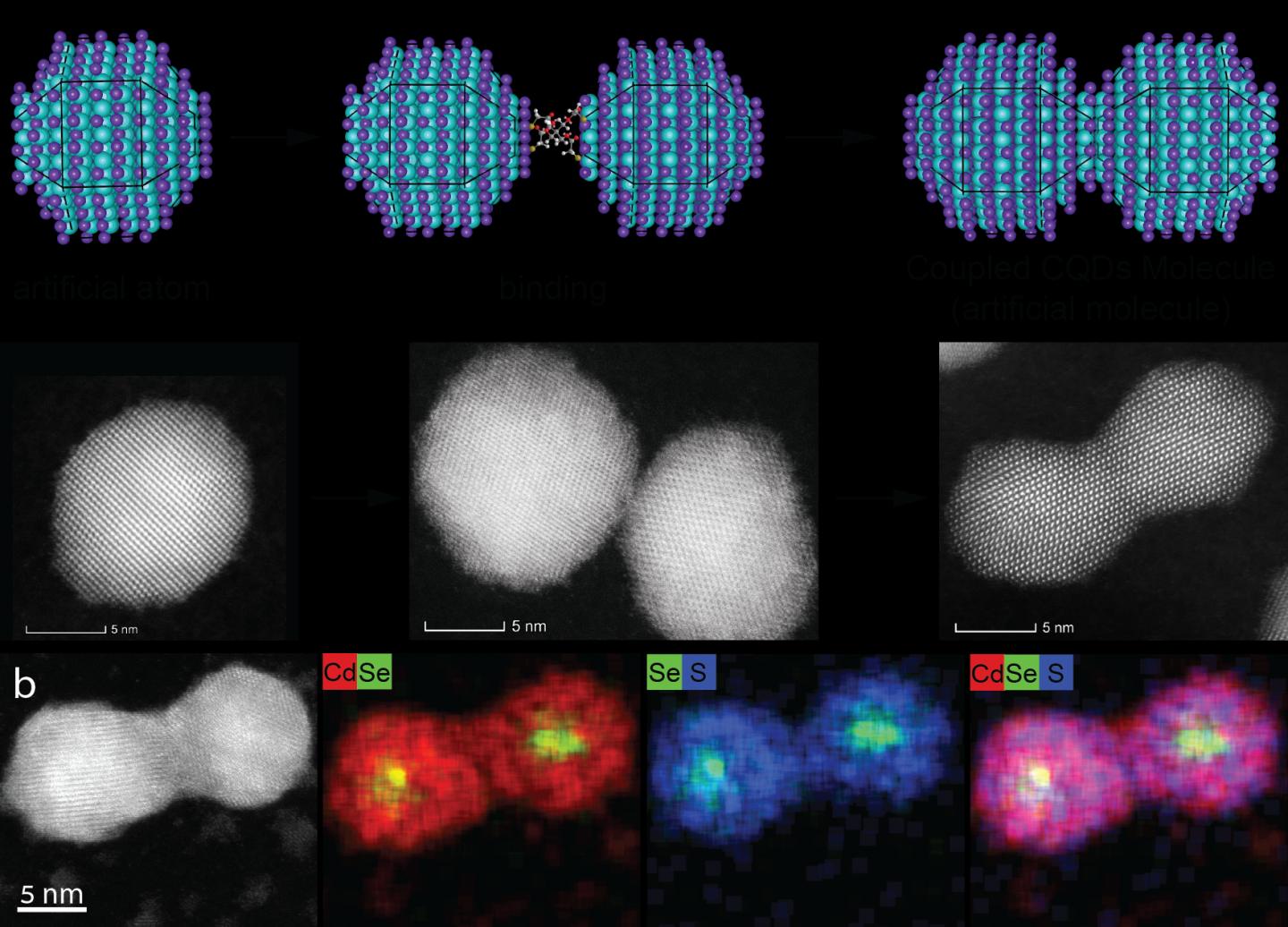 The Making of a Quantum Dot "Molecule"