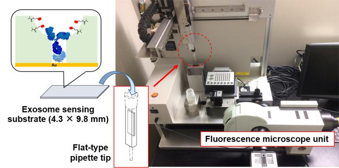 Highly Sensitive Method to Detect Potential Cancer Biomarker (3)