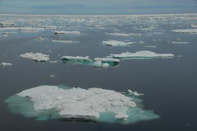 Melting Sea Ice in the Alaskan Arctic