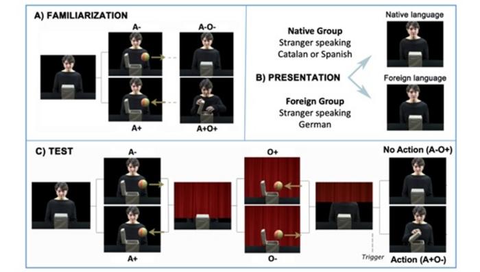 Structure of the videos