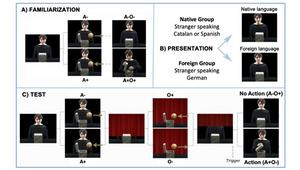 Structure of the videos