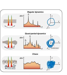 The high-precision detection technology accurately captured the quasi-periodic path of the molecule transitioning from order to disorder