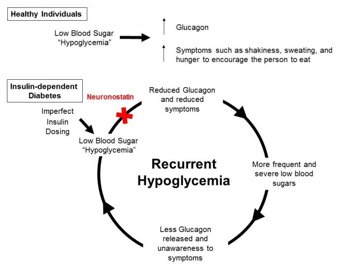 Hypoglycemic unawareness in diabetes