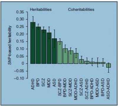 SNP-Based Heritabilities and Coheritabilities