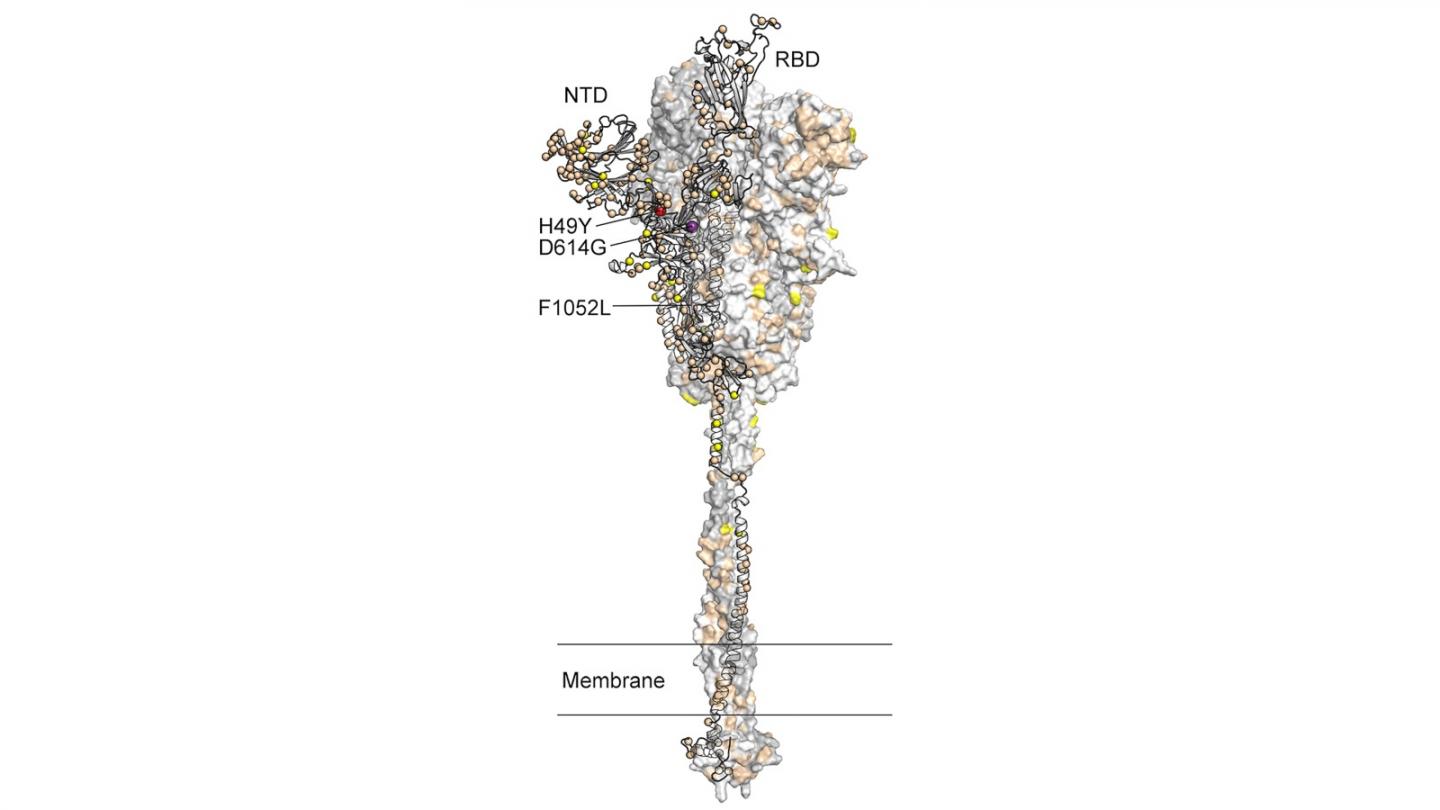 mBio02707-20R1-Figure_6