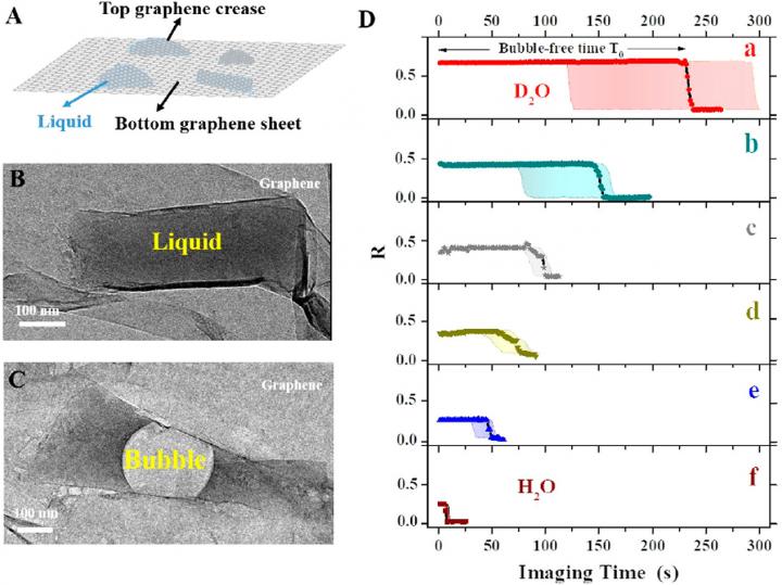 Graphene Pocket and Bubble Formation
