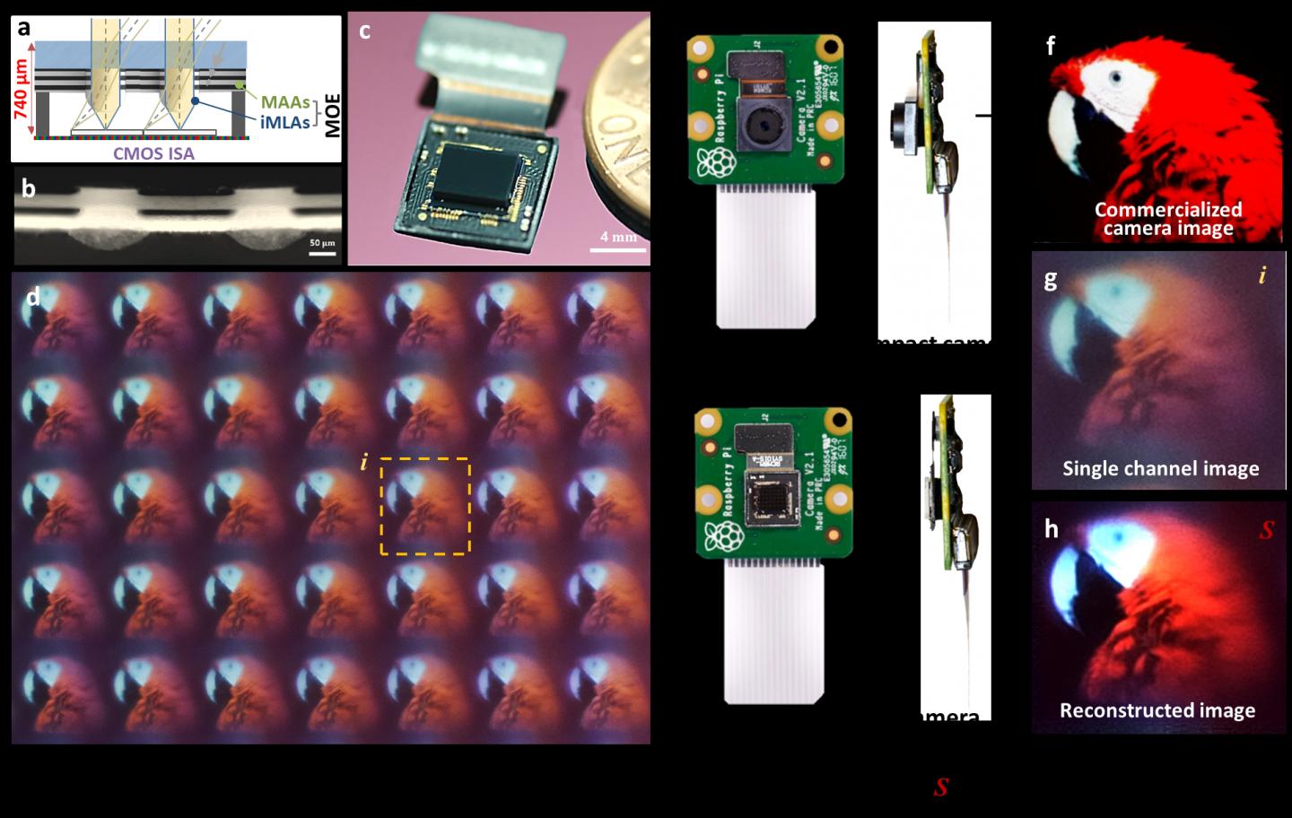 Working Principle of Biologically Inspired Ultrathin Arrayed Camera