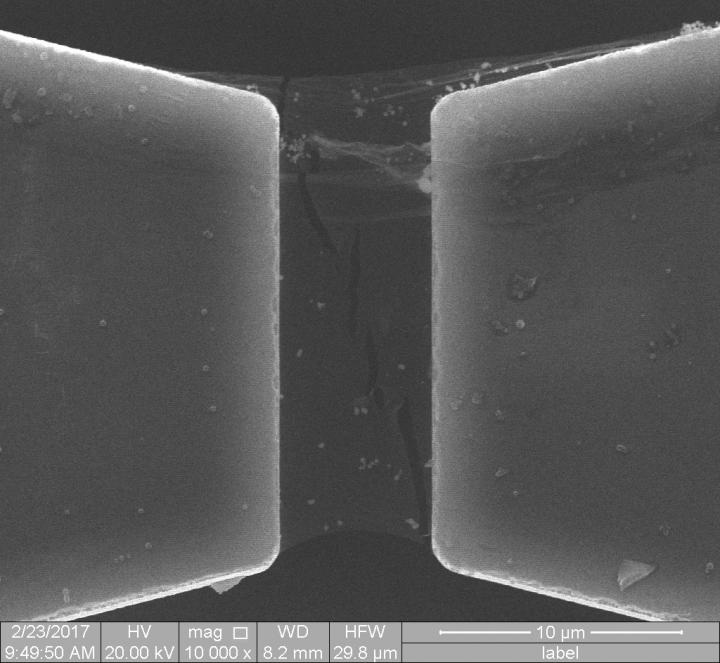 h-BN Branched Cracks
