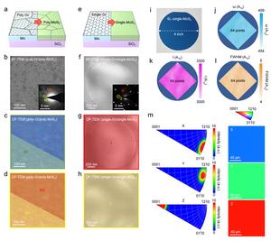 Figure 5: Verification of uniformity in single-crystal TMDs synthesized using a single-crystal graphene template with identical microstructures.