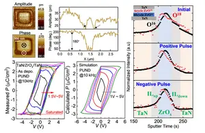 Evidence for the emerging ferroelectricity in binary oxides