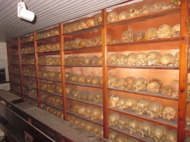 Part of the Skull Libraries of the Laboratory of Anthropological Studies