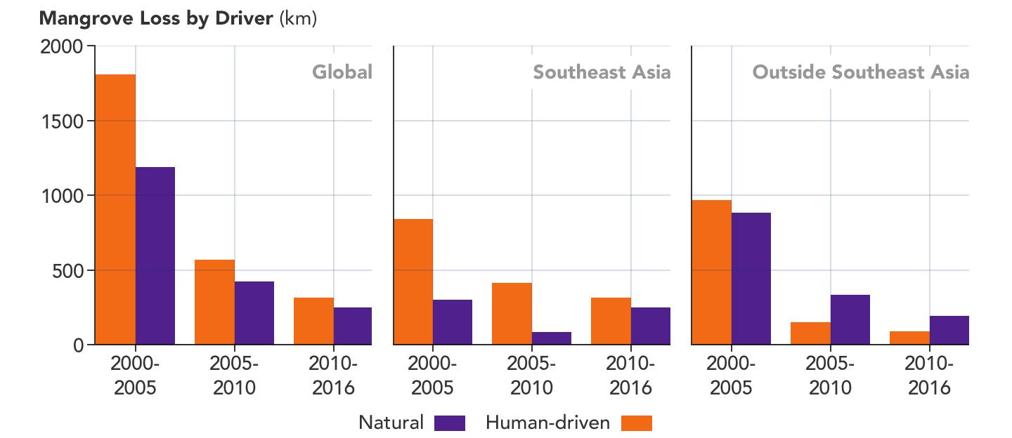 Chart Showing Mangrove Loss by Driver