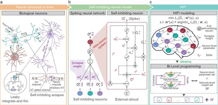 Heterogeneous spiking framework with self-inhibiting neurons