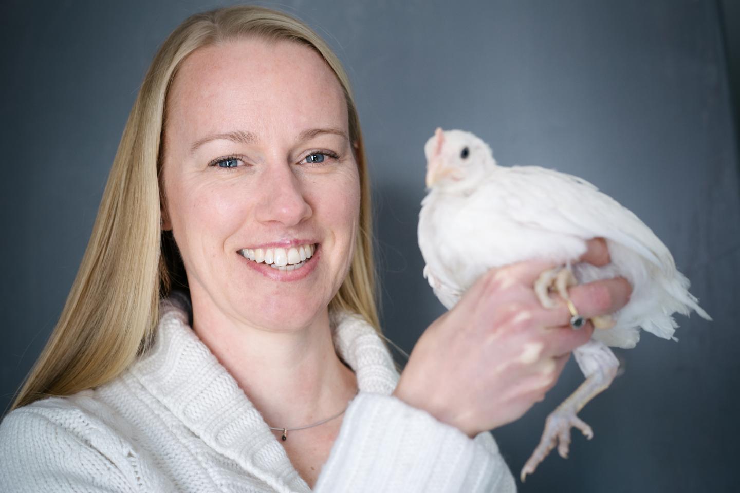 Hanne Lovlie, Linköping University