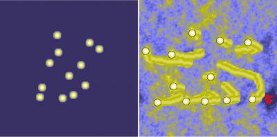 Image of Pelletier Computer Simulations