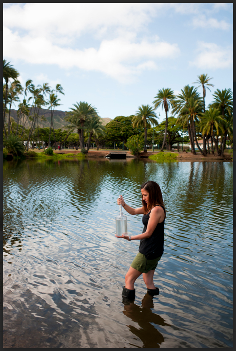 Collecting samples from Ala Wai Canal