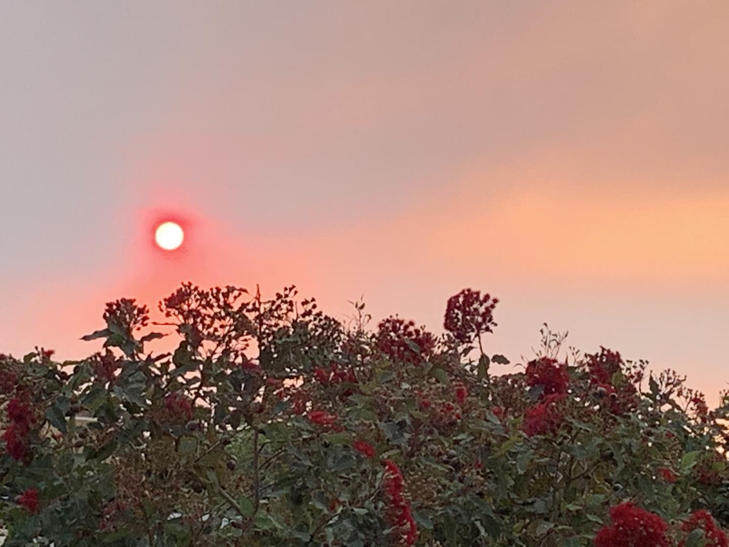 Red Sun View from Nepean Hospital