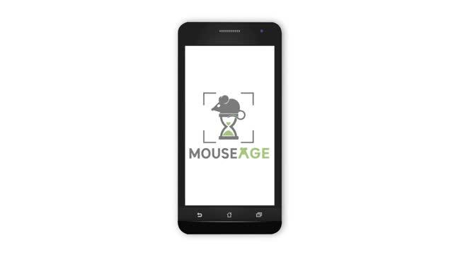 MouseAge: Photographic Aging Clock in Mice (2 of 3)