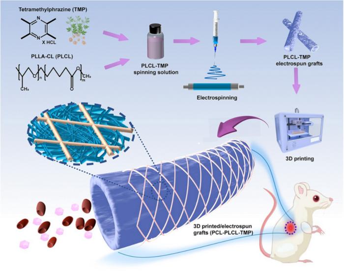 Schematic illustration of 3D printed electrospun vascular graft loaded with TMP.