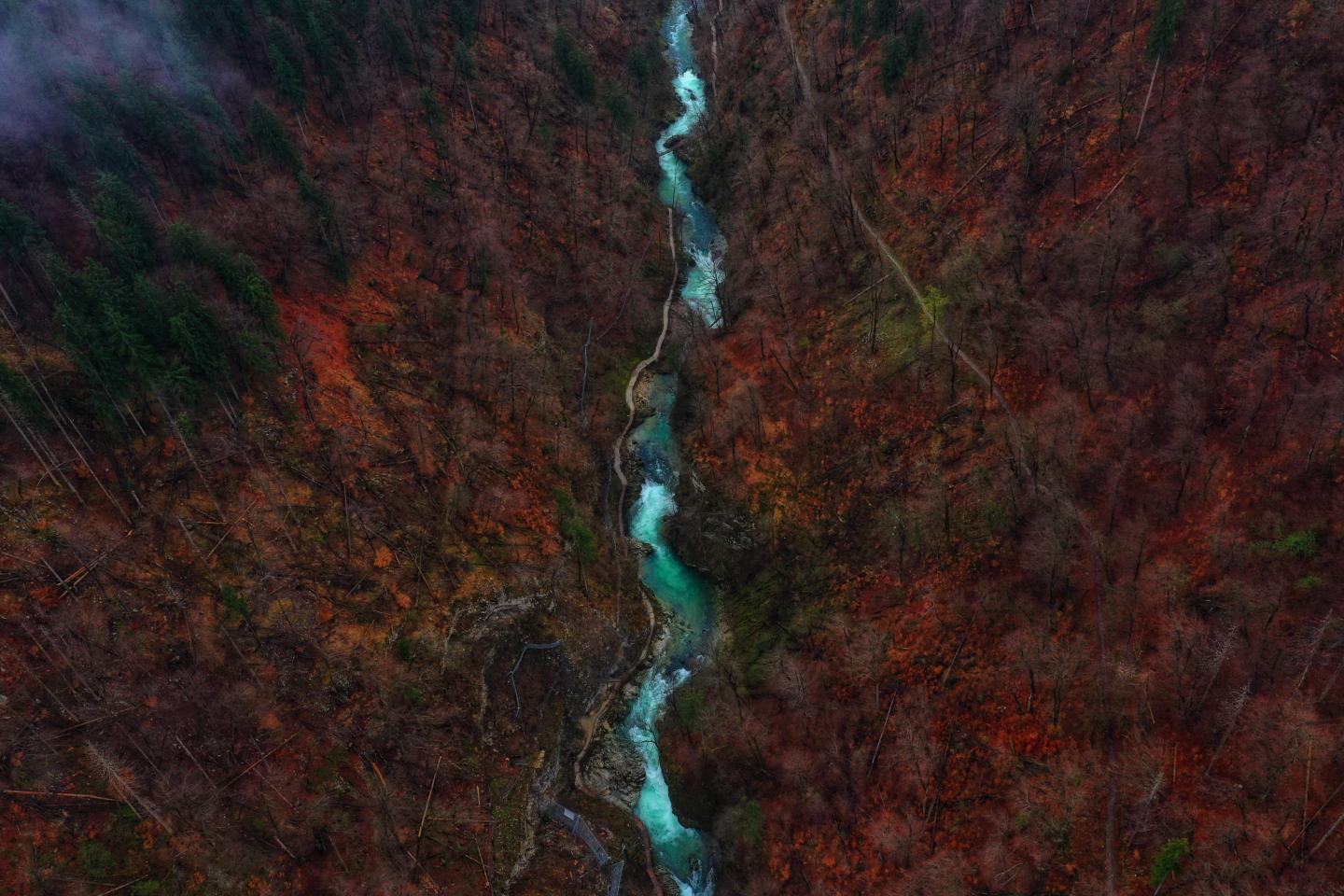 Radovna River, Vintgar, Zgornje Gorje, Slovenia