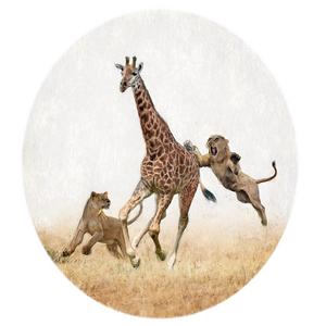 Lions chase giraffe artwork