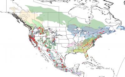 Scale Insect Collection across North America