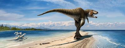 Wahweap Coastline Tyrannosaur
