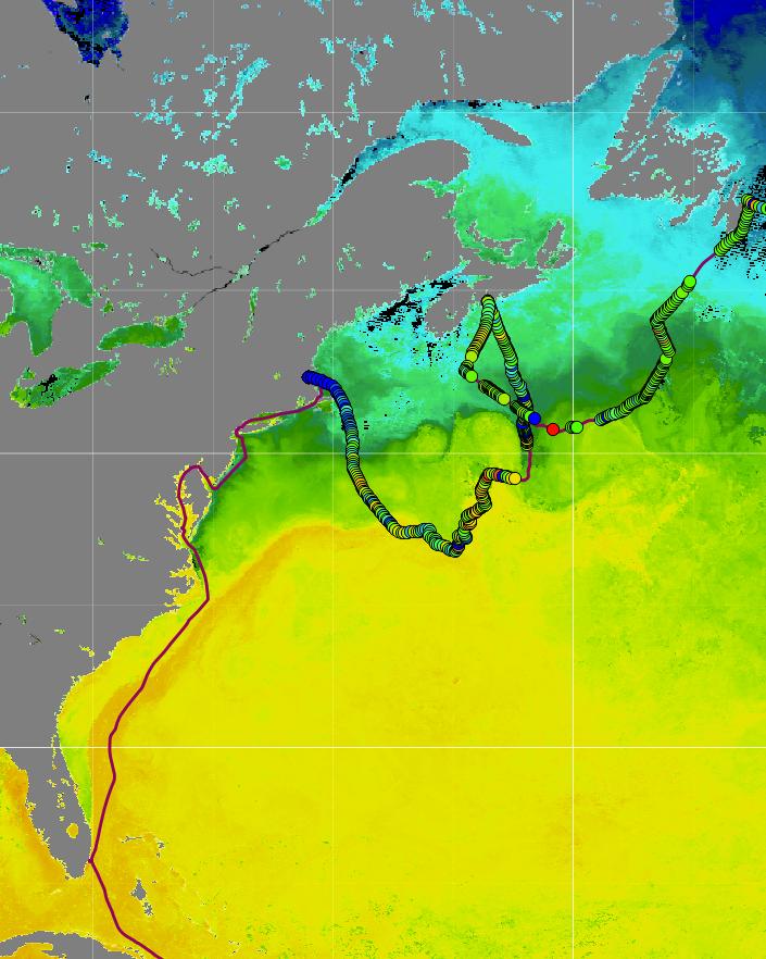 Along the PlanetSolar Itinerary