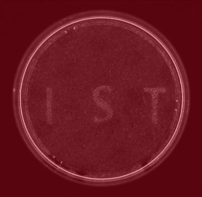 Activation of Selected Human Cells With High Spatial Precision