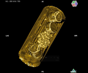 Virtual reconstruction of a bamboo corset with loose dinosaur bones and fossil-filled tin cans