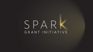 Spark Grant Initiative