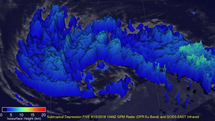 Rainfall Data on Ernesto