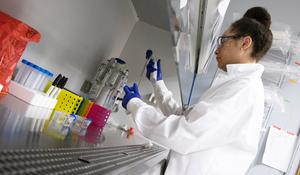 New drug delivery system developed by Brown engineers has potential to improve cancer treatments