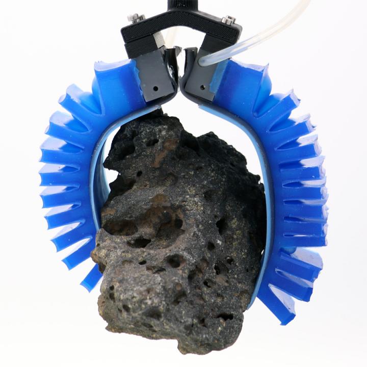 Gecko Gripper and Rock