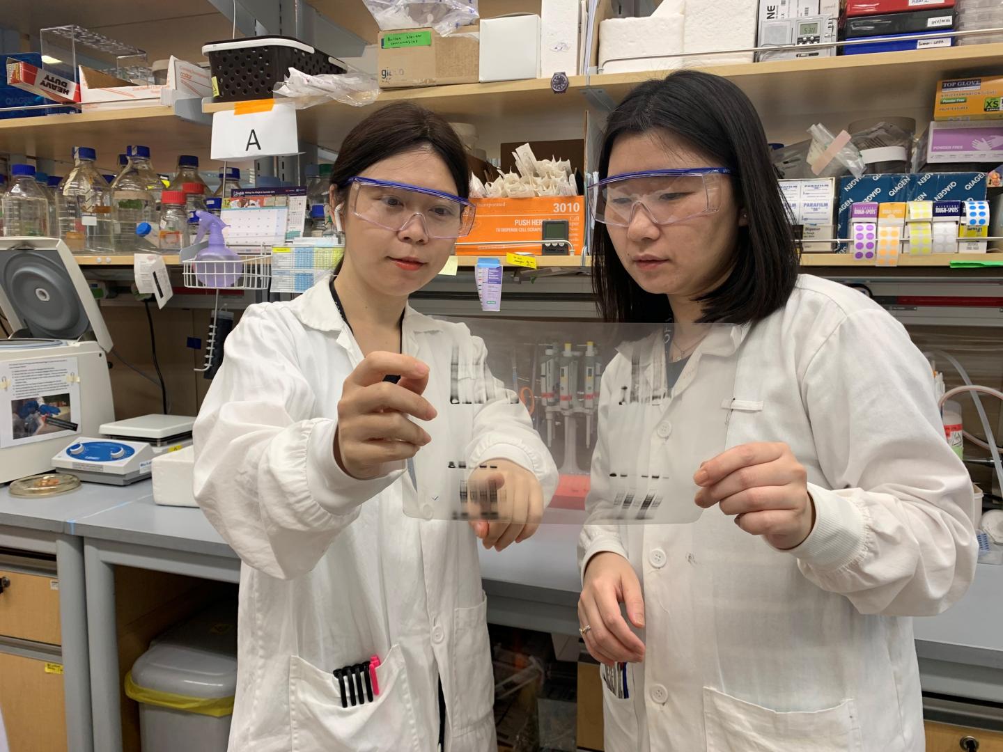 NUS scientists find new mechanism of cancer formation