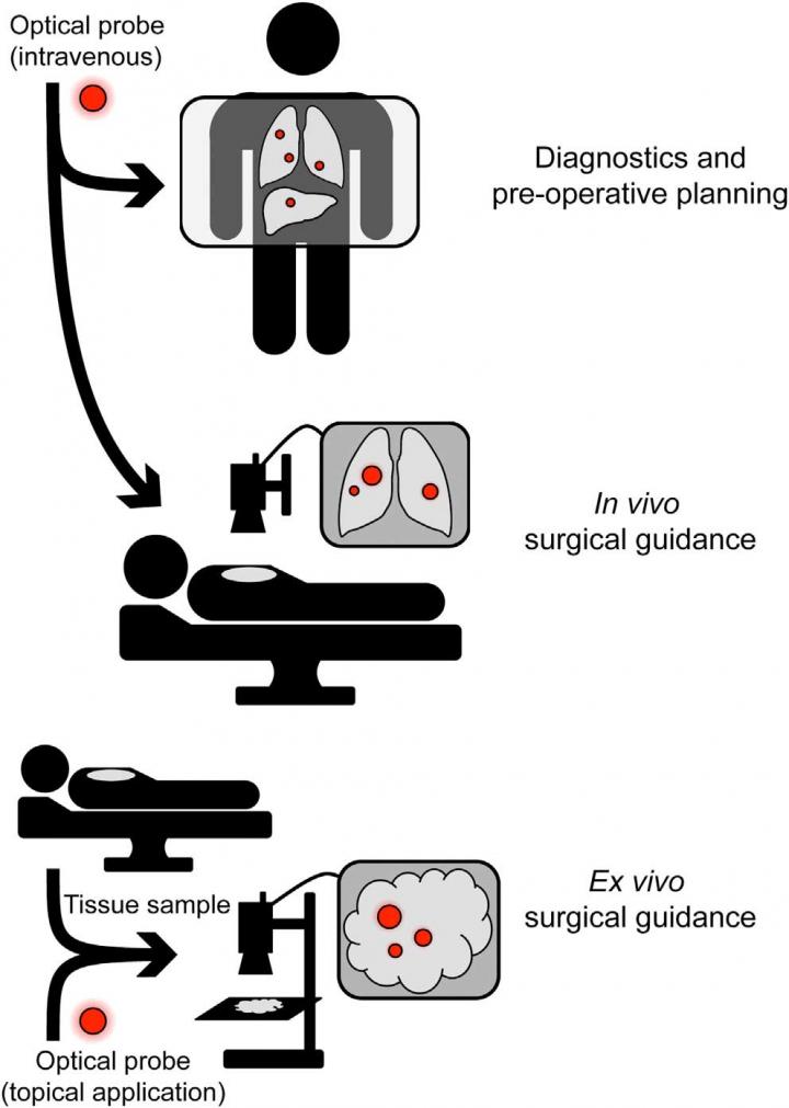 Current and Future Clinical Applications for Optical Chemical Probes