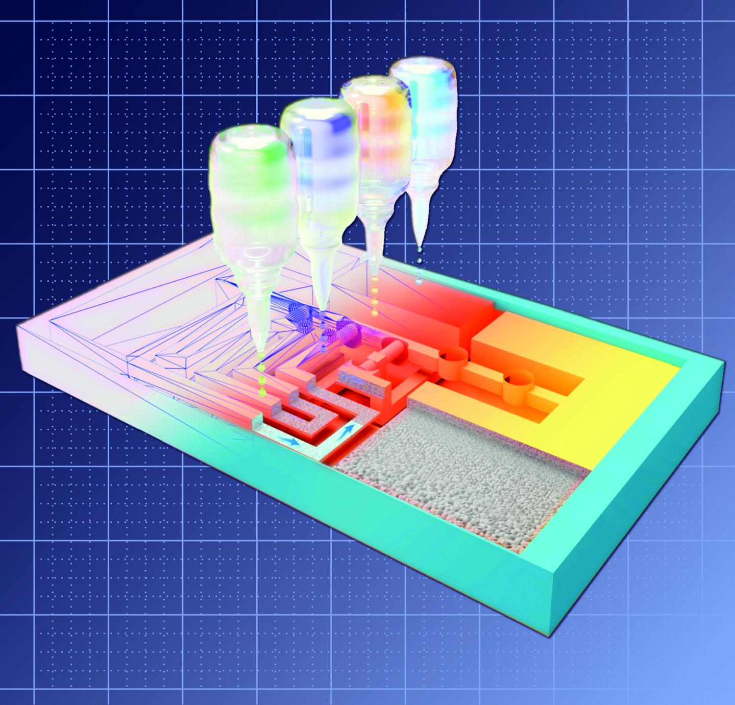 3D version of lateral flowtest