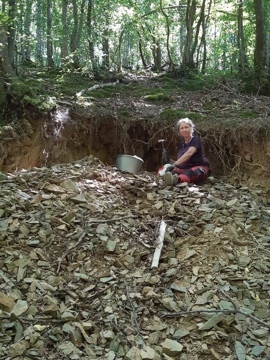 A new fossil bed has been uncovered in the French department of Hérault through the perseverance of two ardent amateur palaeontologists.