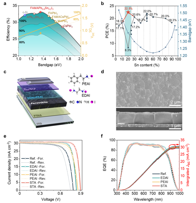 Anchoring Strategy Helps to Set New Record of Efficient Ideal Bandgap Perovskite Solar Cells