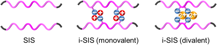 Schematic molecular-level illustration of SIS and i-SIS.