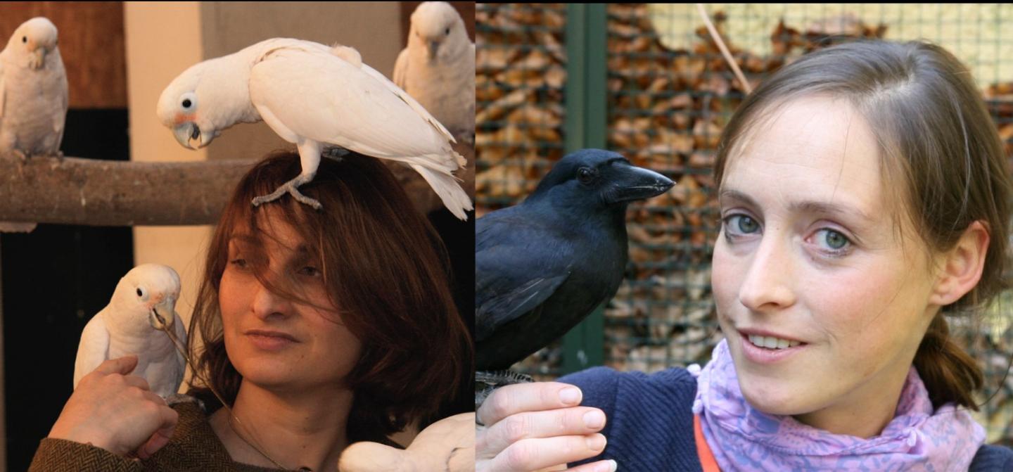 Alice Auersperg and Auguste vo [IMAGE] | EurekAlert! Science News Releases