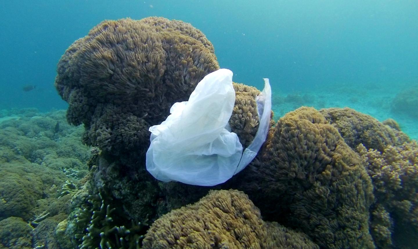 Plastic Bag in the Ocean