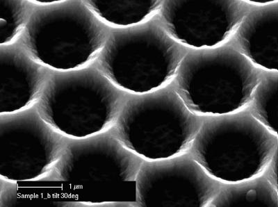 SEM Micrograph