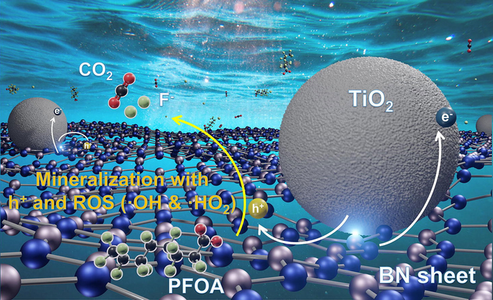 BN-TiO2 photocatalytic destruction of PFOA